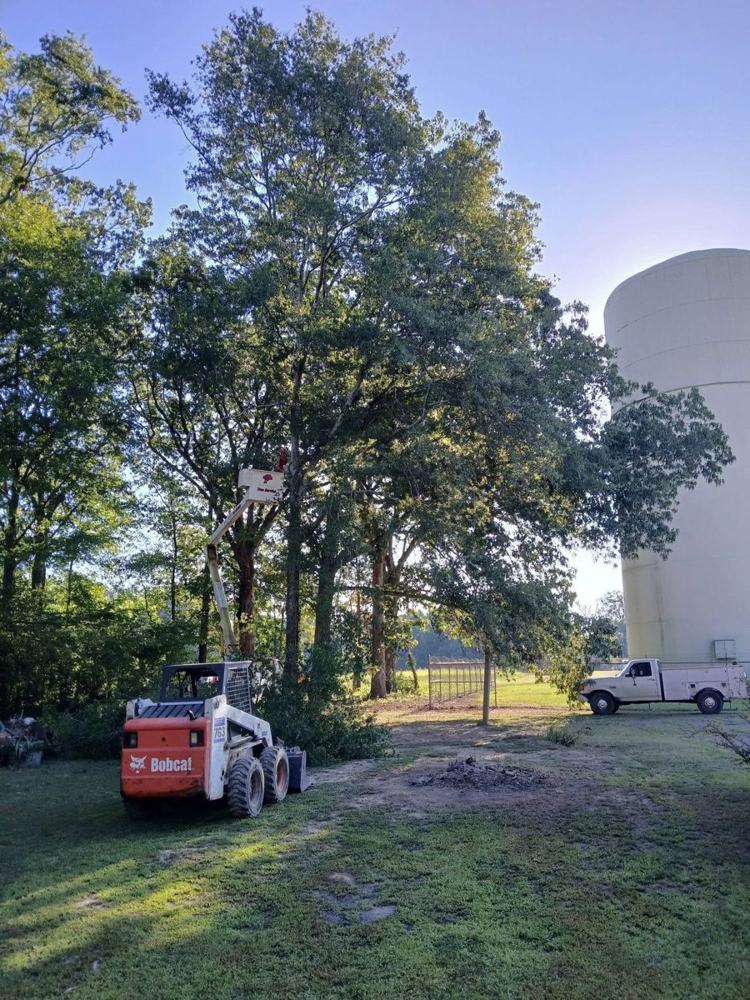 A skid steer working among trees by a water tower